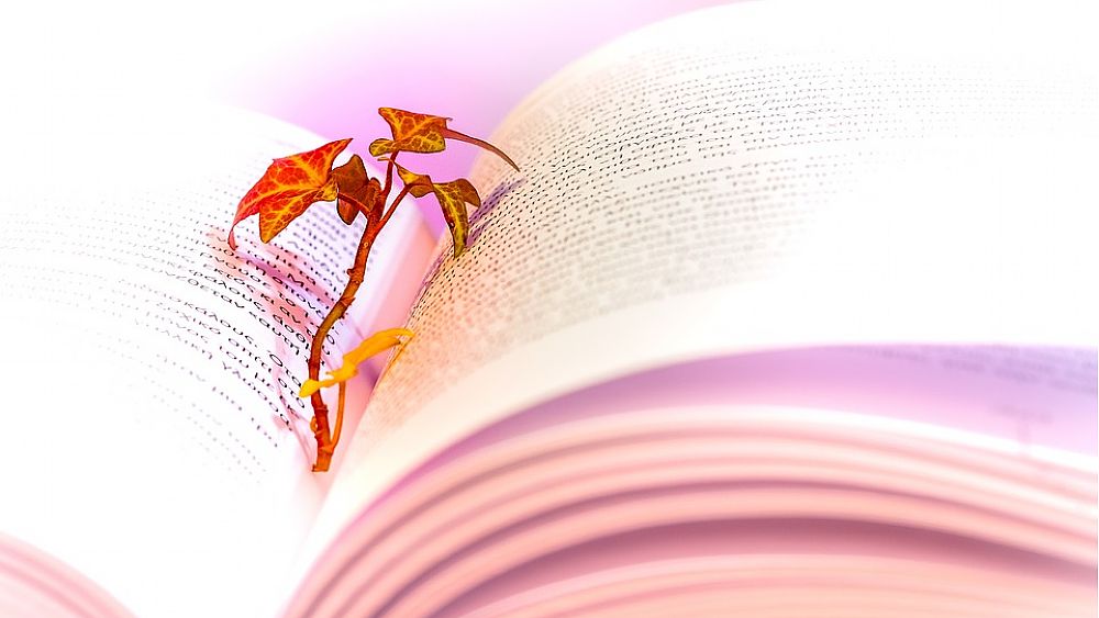 20092018 libro poesie 20092018 libro poesie