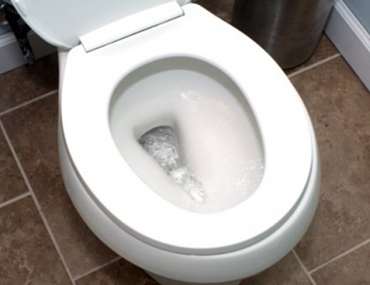 20102012 sciacquone water