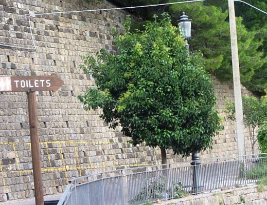 Marisa-Russo foto - 20102014 art russo 01