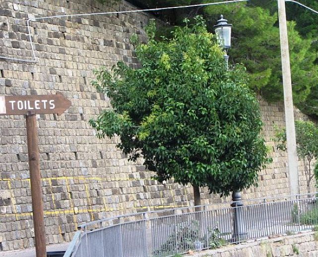 20102014 art russo 01 20102014 art russo 01