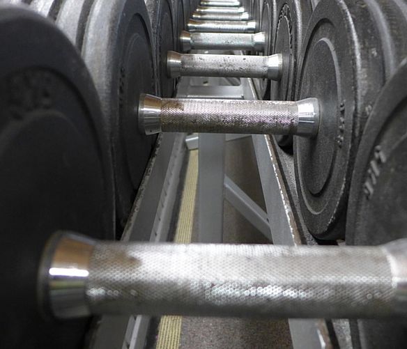 20102016 body building
