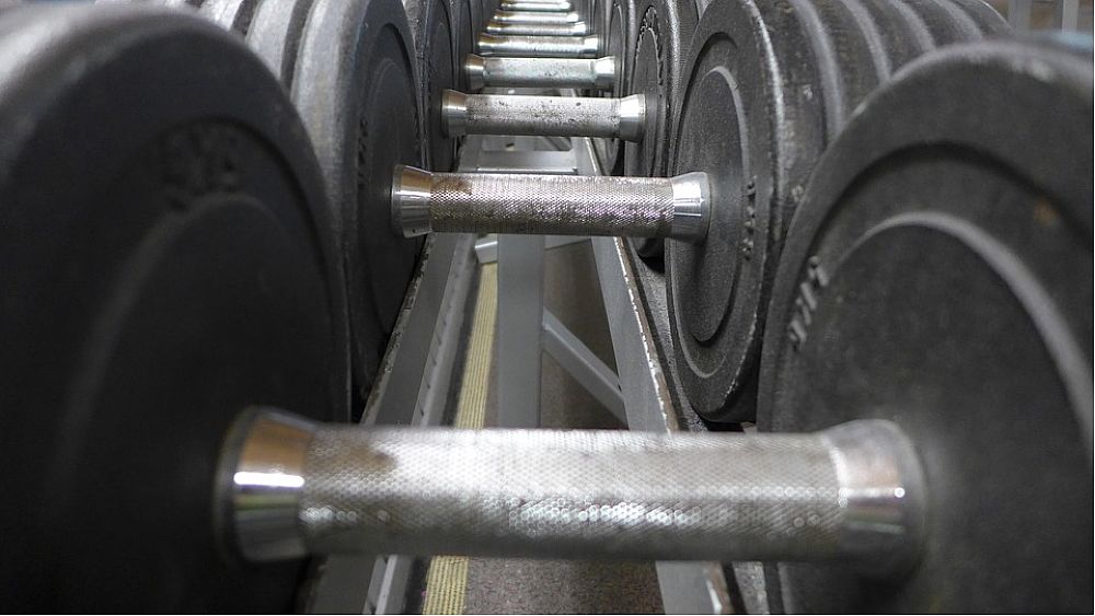 20102016 body building