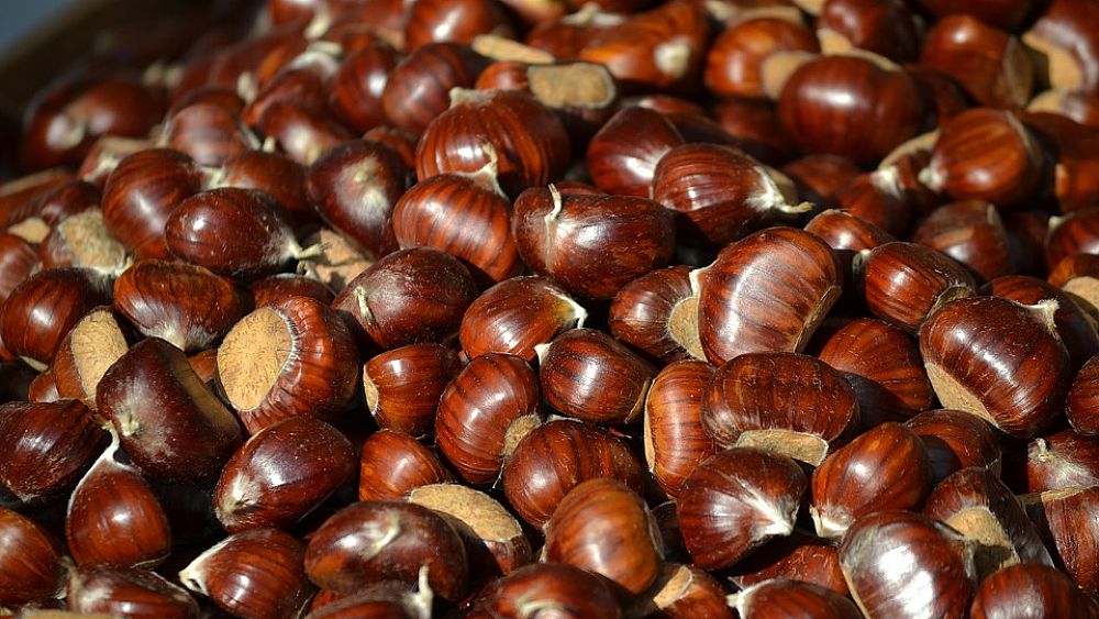 20102016 castagne emergenza