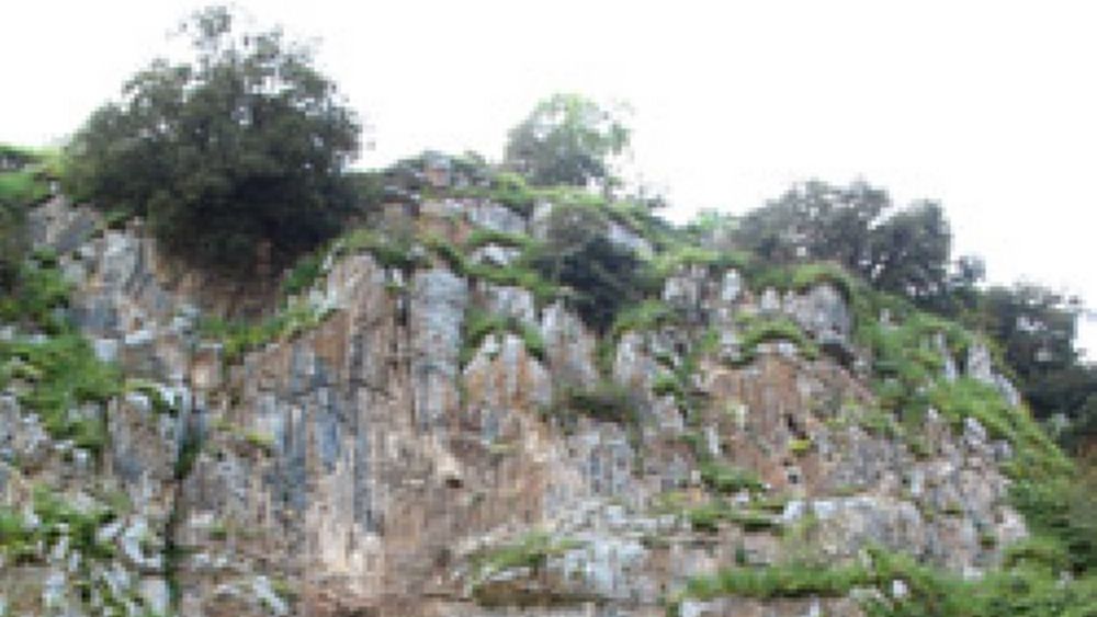 20102017 grotta polla