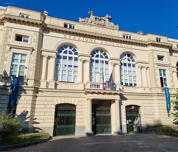 20102021 stazione zoologica anton dohrn   napoli