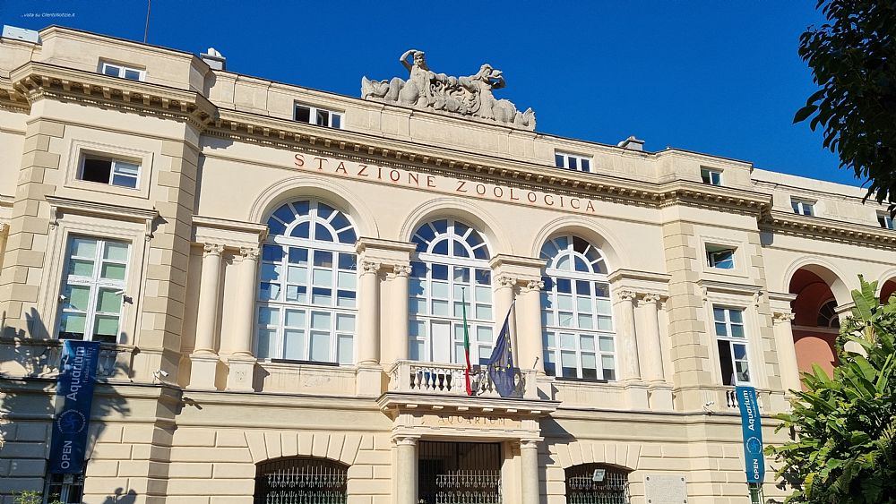 20102021 stazione zoologica anton dohrn   napoli