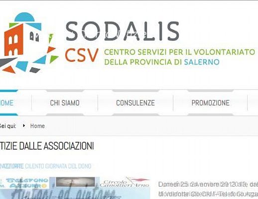 20112013 nuovo sito sodalis
