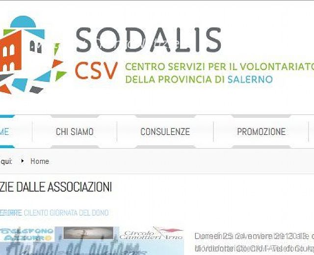 20112013 nuovo sito sodalis