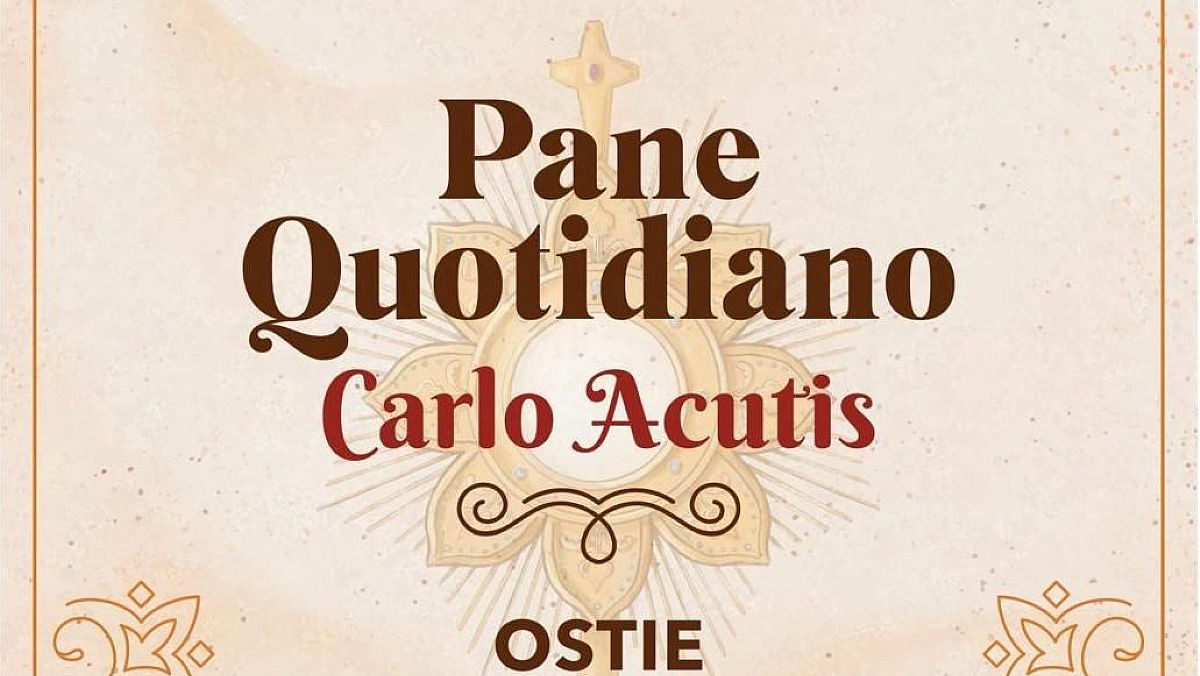 20112024 ostie foto 20112024 ostie foto