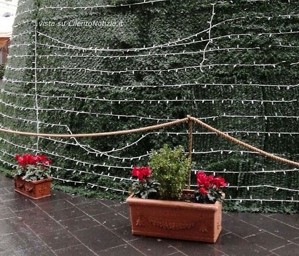 20122016 vandali albero natale