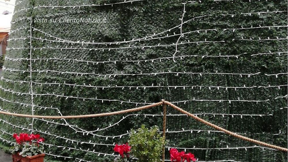 20122016 vandali albero natale