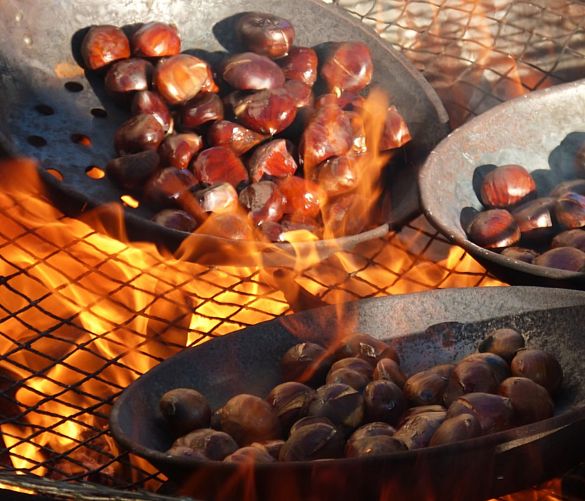 20122017 castagne brace