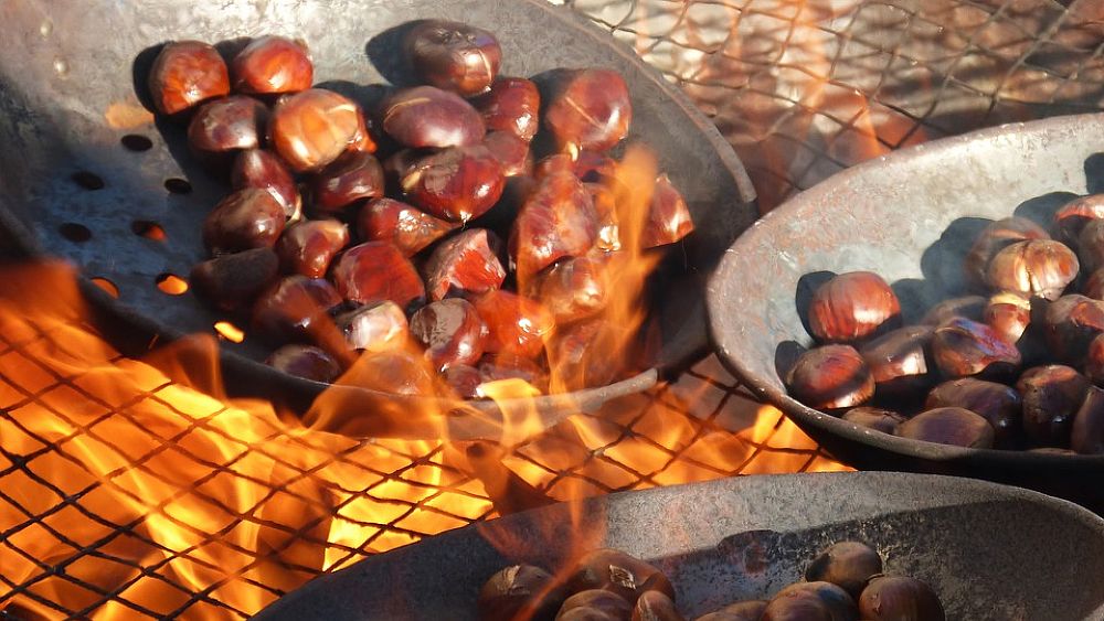 20122017 castagne brace