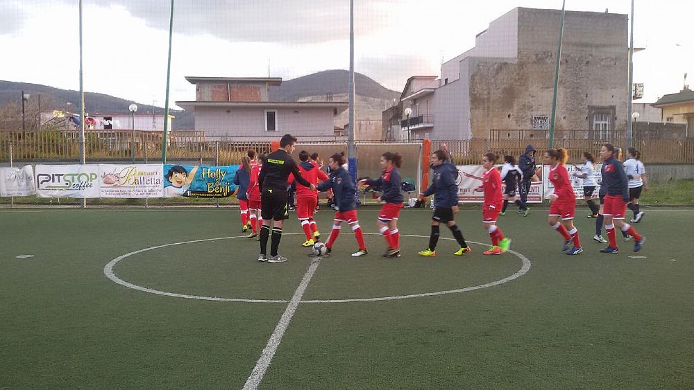 20122017 delfino fenix