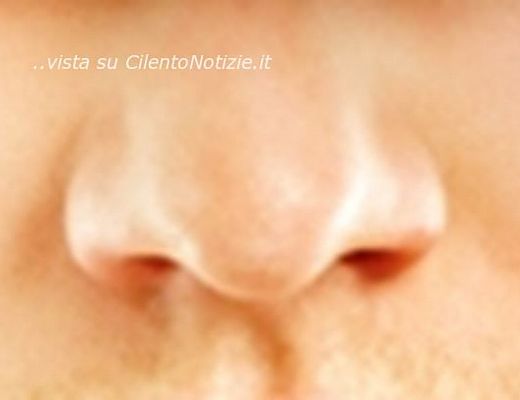 Marisa-Russo foto - 21012014 gli odori