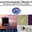 Sapri Notizie foto - 21012014 oceanografia sapri