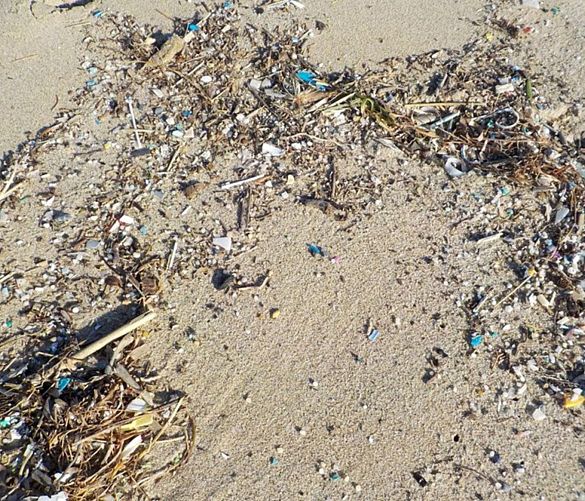 21022020 nurdles spiaggia
