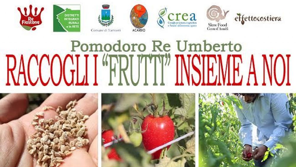 21032017 pomodoro de umberto