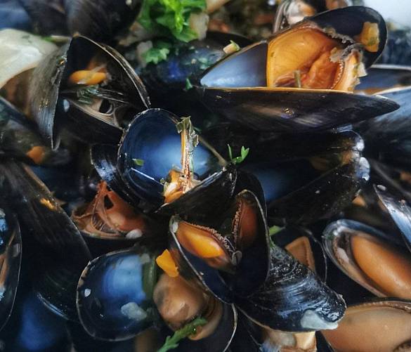 21032026 cozze mitili controllati