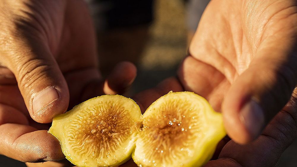 21042023 cilento tastes1