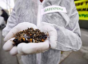 21042026 greenpace stop pesticidi 1