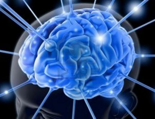 Giuseppe-Lembo foto - 21052014 cervello