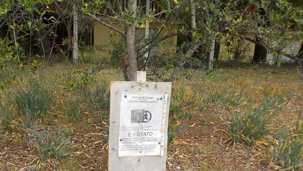 21052020 area dunale tabella