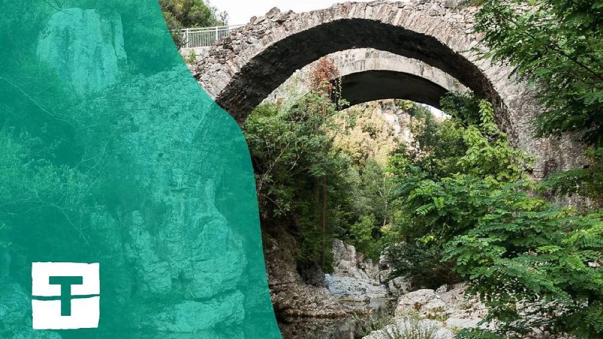 21052024 transluoghi