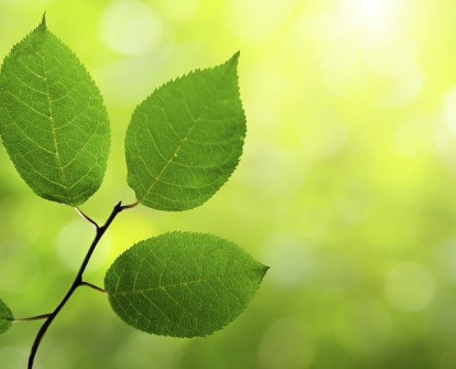 21062014 Green Procurement 21062014 Green Procurement