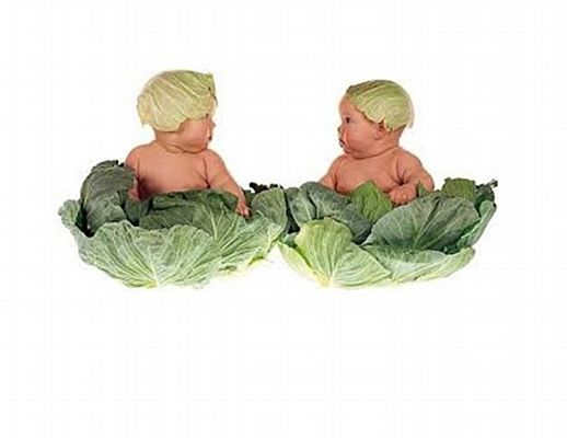 Paolo-Abbate foto - 21062014 bambini nei cavoli