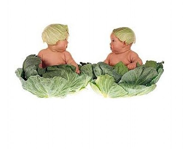 21062014 bambini nei cavoli