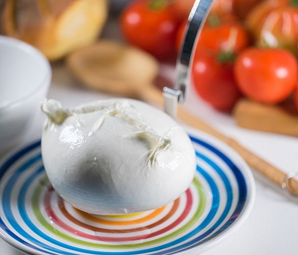 21062023 mozzarella di bufala campana dop