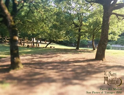 21072015 parco dei mulini