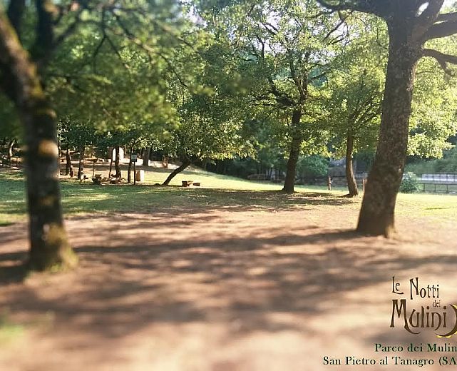 21072015 parco dei mulini