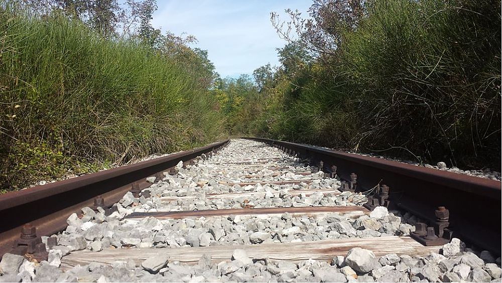 21072016 binari ferrovia dismessi