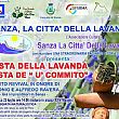 Cilento - Le ultime  Notizie foto - 21072017 festa della lavanda