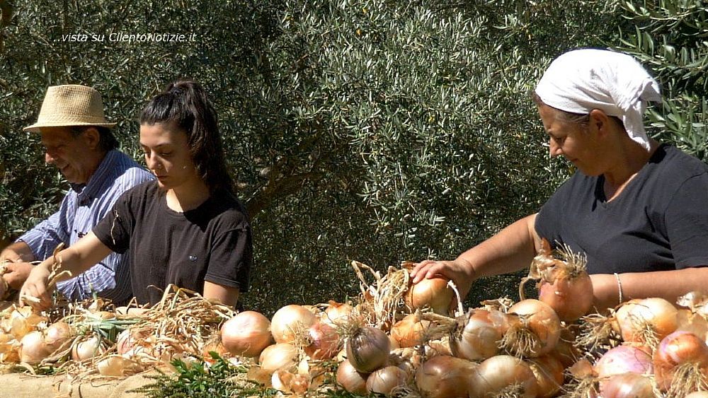 21072021 intreccio cipolla vatolla
