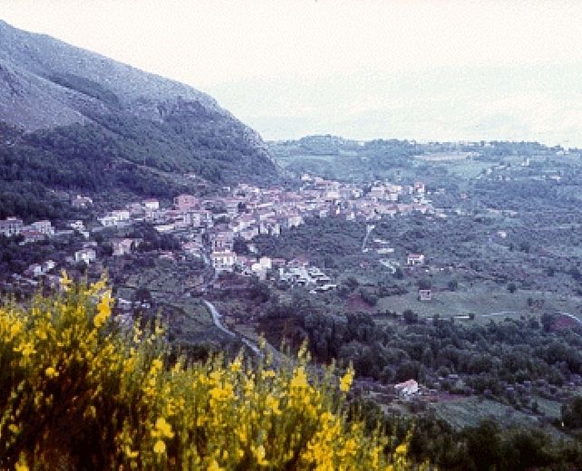 21082014 foto san rufo