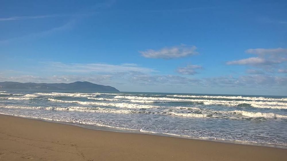 21082019 art cap cart