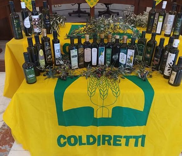 21082025 olio evo