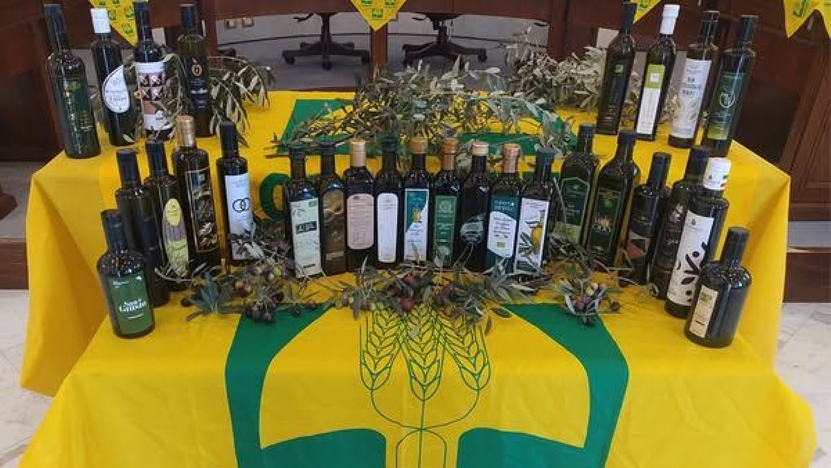 21082025 olio evo 21082025 olio evo