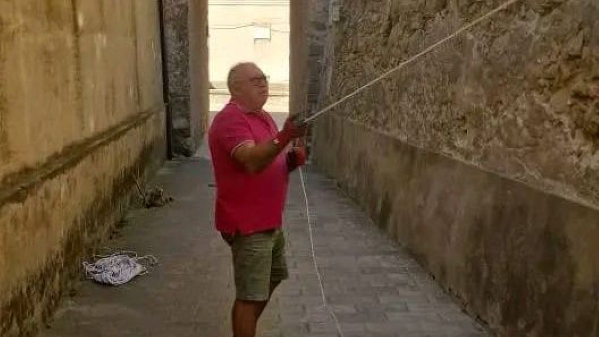 21092025 gatto tovaglie 21092025 gatto tovaglie