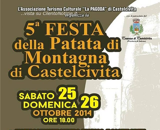 21102014 festa patata