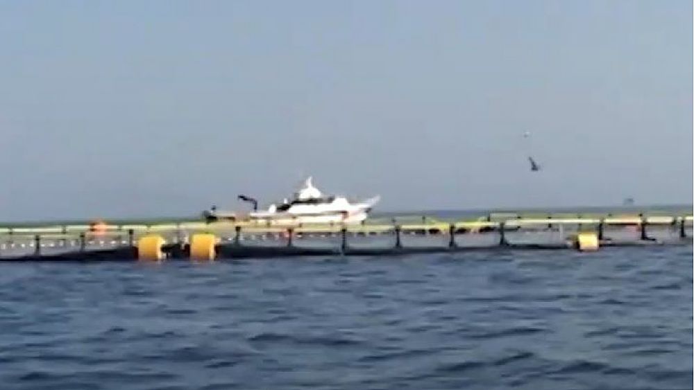 21102022 impianti ittici mare 21102022 impianti ittici mare