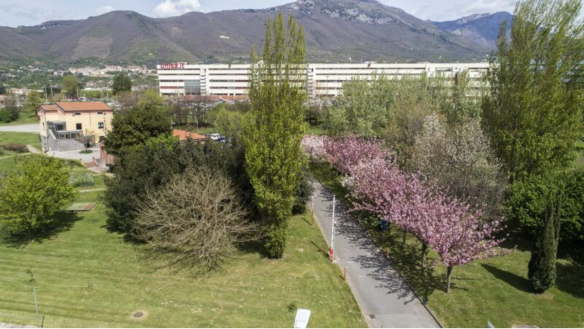 21102024 osservatorio 2