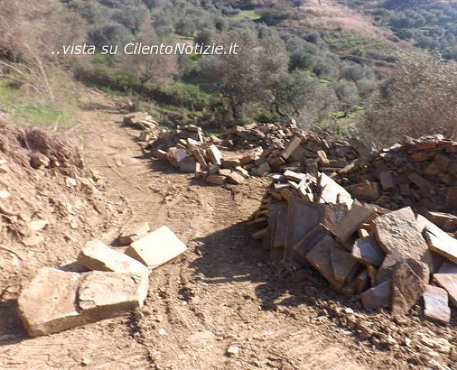 21112013 abusi edilizi forestale