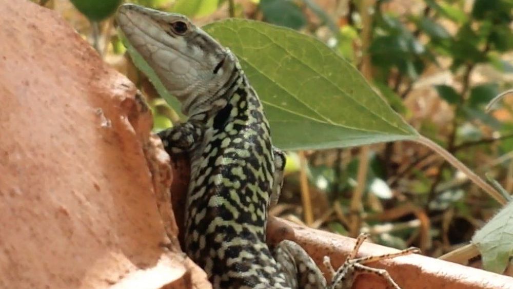 21112018 videoclip 21112018 videoclip