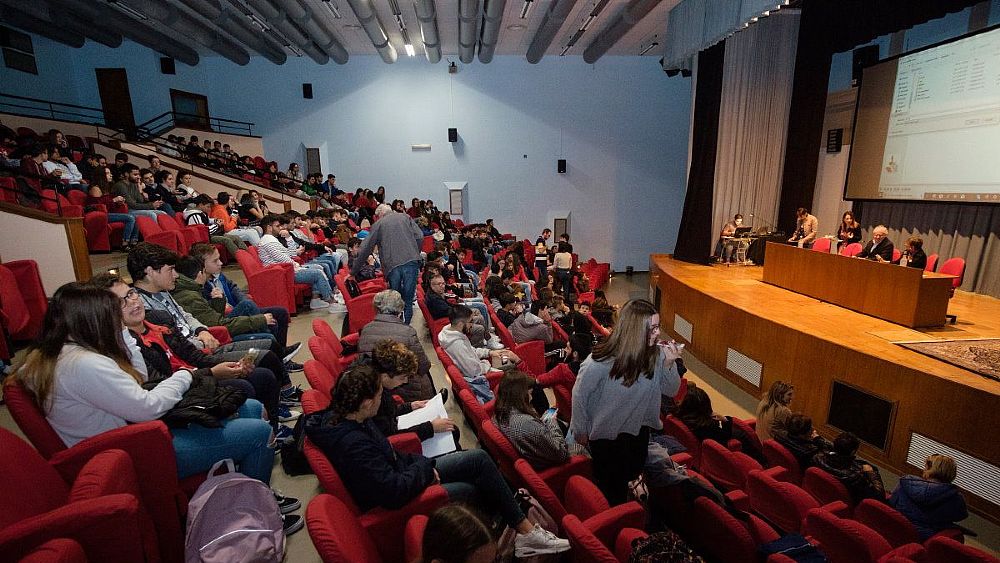 21112019 velia video festival1