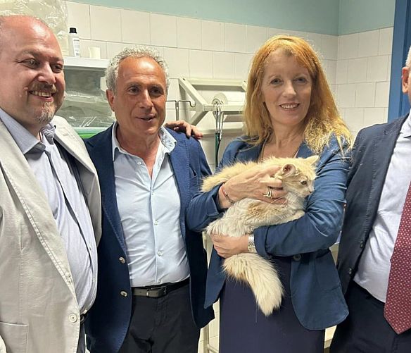 21112024 nuova legge maltratt animali