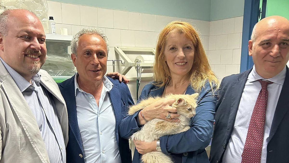 21112024 nuova legge maltratt animali 21112024 nuova legge maltratt animali